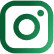instagram-icon